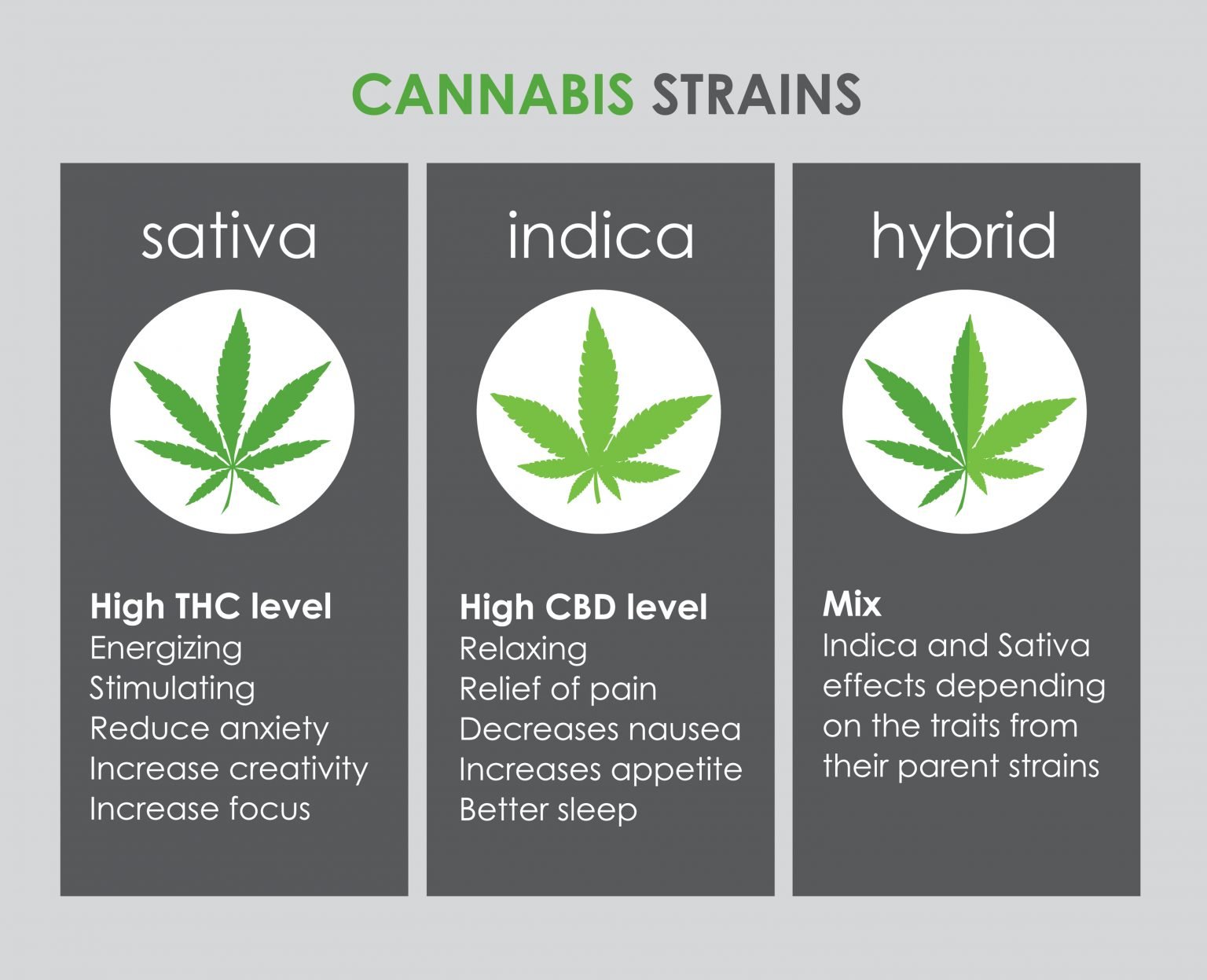 Indica vs Sativa vs Hybrid Weed Difference between Indica and Sativa