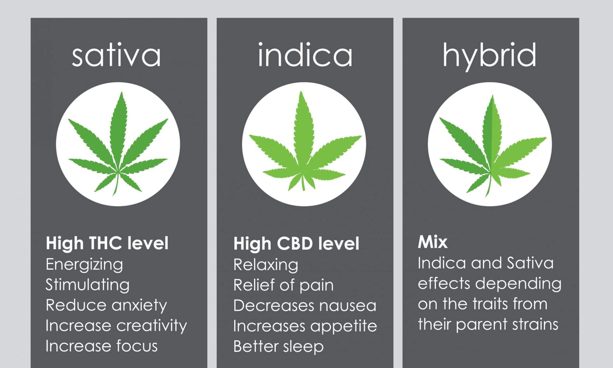 Indica vs sativa vs hybrid weed – Difference between indica and Sativa and hybrid types of weed strains | Post Featured Image