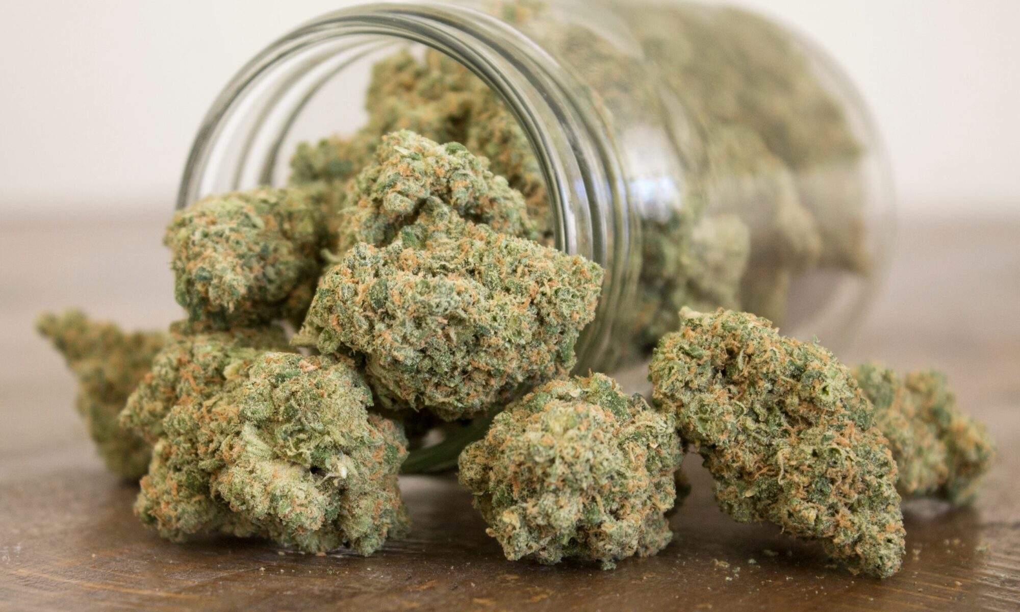 Best Indica Strains – Indica Weed Names | Post Featured Image