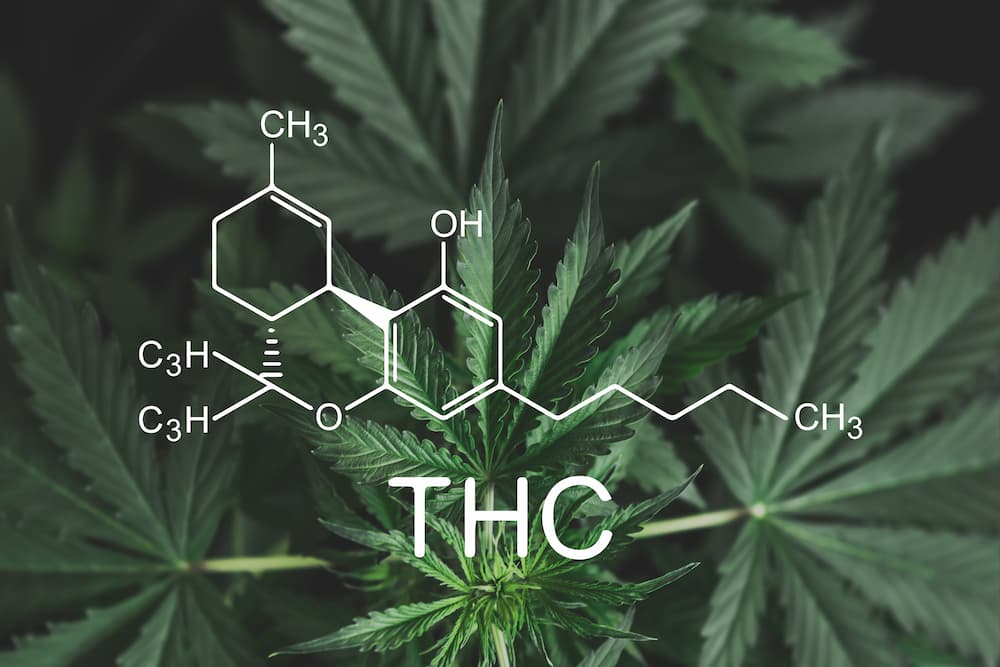 High vs. Low THC The Truth Behind Potency