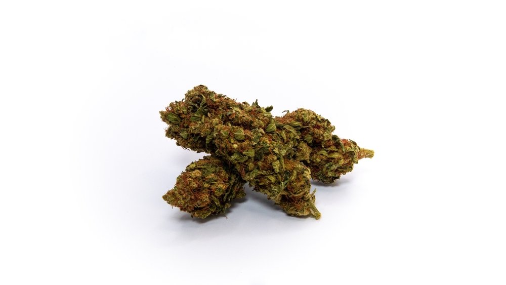 Kush Mints Strain – Kush Mint Weed Review | Green Sativa Dispensary | Post Featured Image