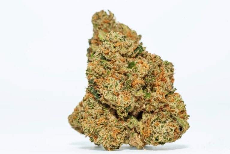 Strain Spotlight Ice Cream Cake Strain