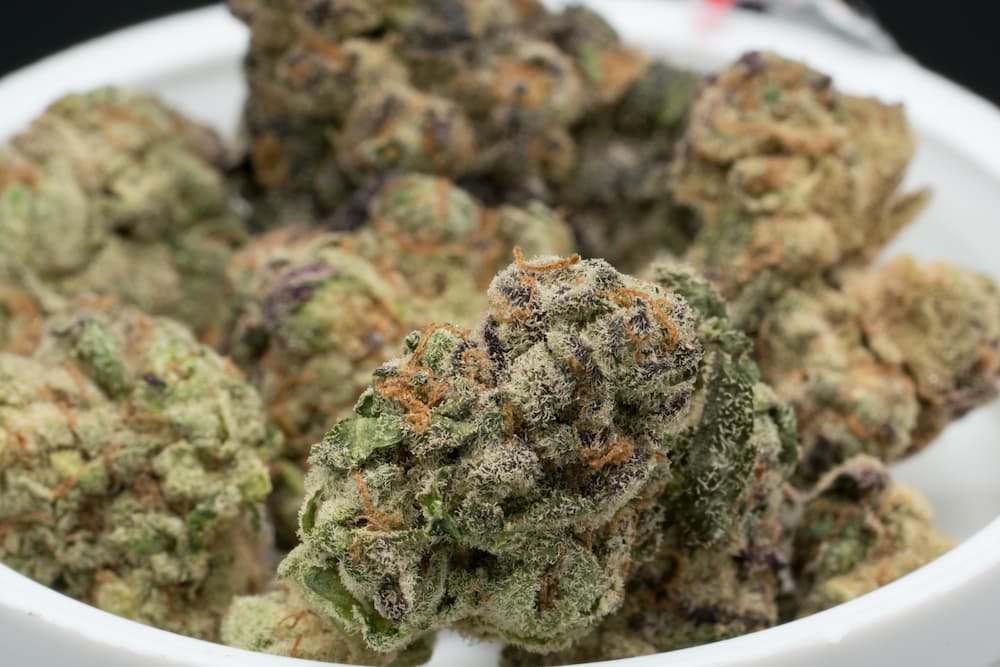close up image of marijuana