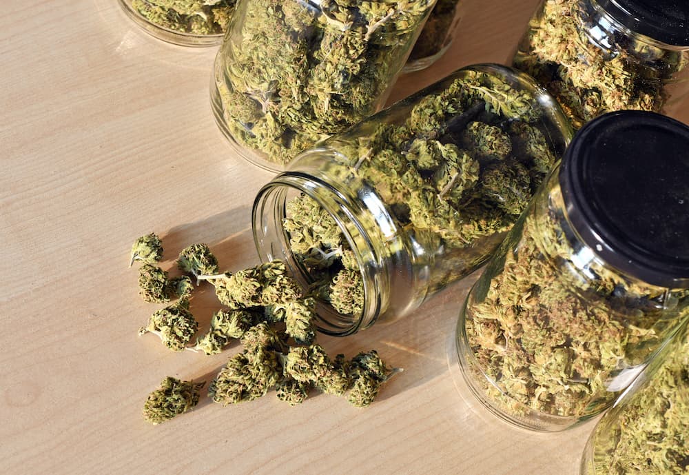 various jars filed with cannabis